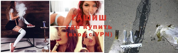 тгк Гусев