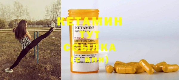 стаф Дмитров