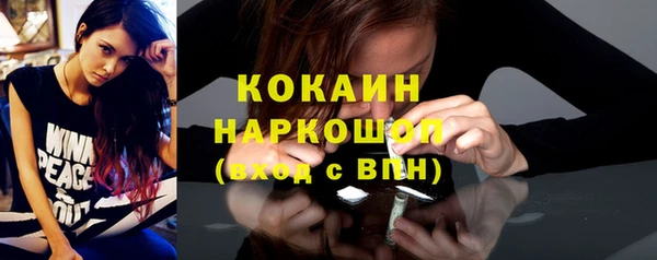 тгк Гусев