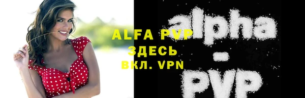 тгк Гусев