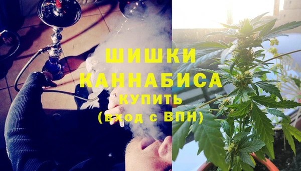 стаф Дмитров