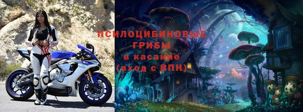 экстази Дмитриев