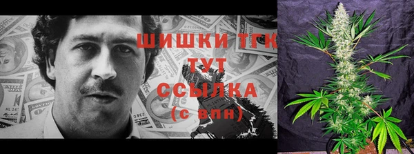 PSILOCYBIN Гусь-Хрустальный
