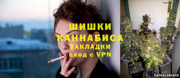 PSILOCYBIN Гусь-Хрустальный