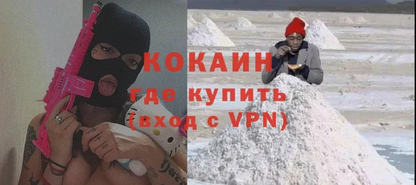 тгк Гусев