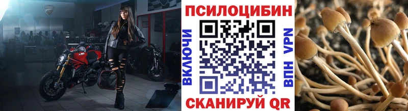 магазин продажи наркотиков  Волжский  Галлюциногенные грибы прущие грибы 