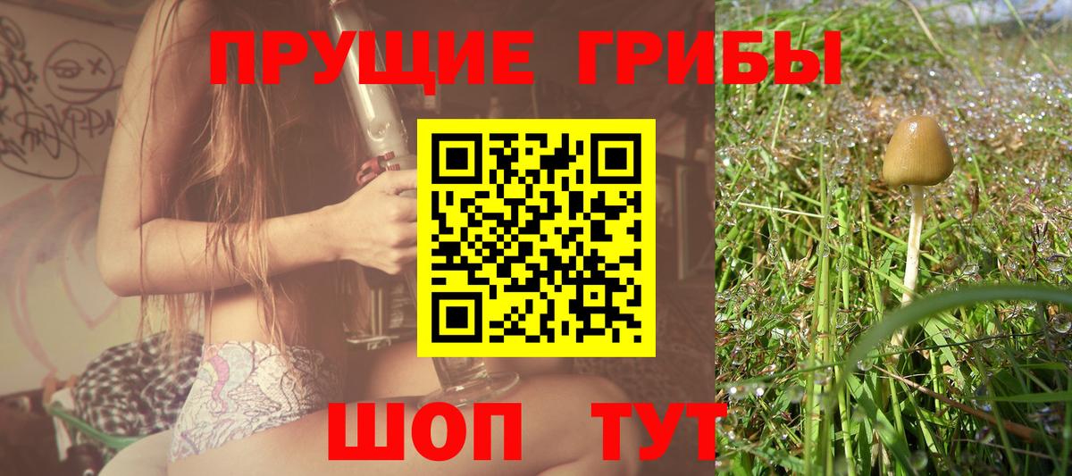 закладки  Псилоцибиновые грибы Magic Shrooms  Вход с VPN  Волжский 